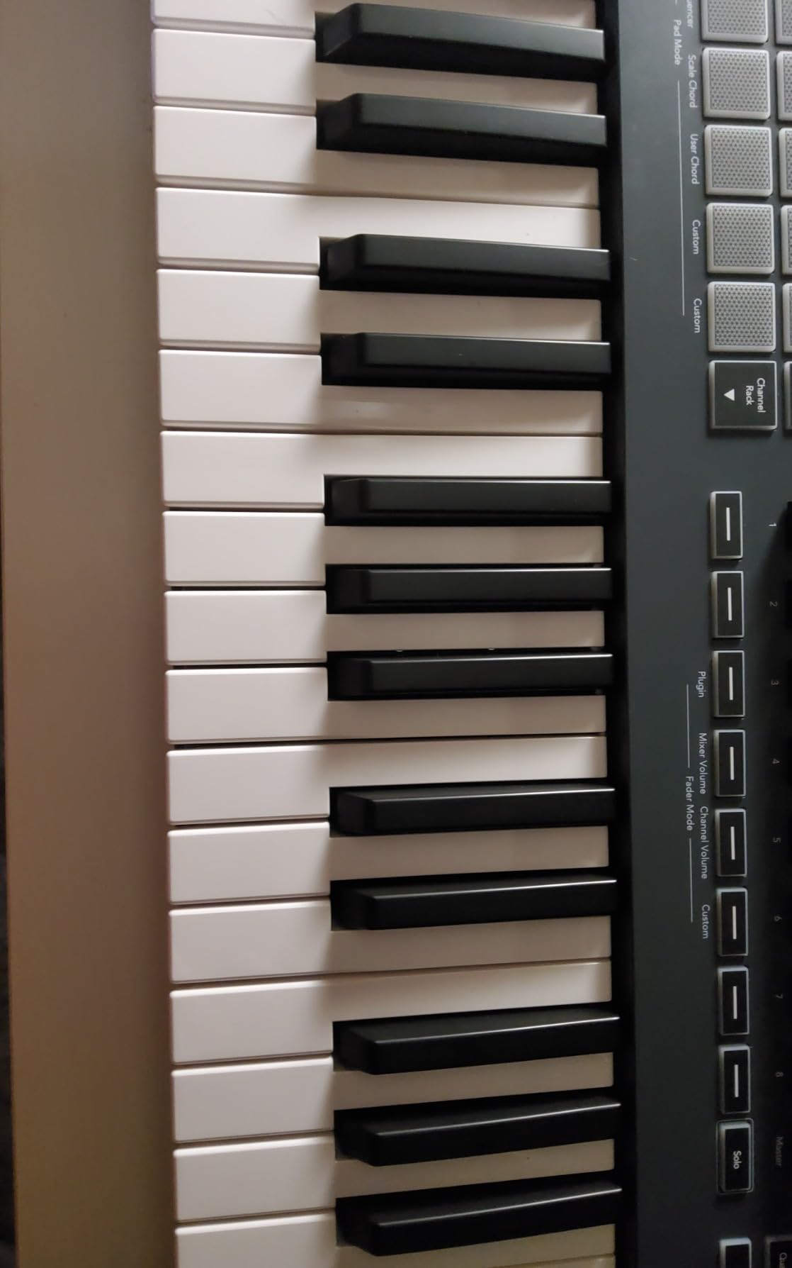 Novation FLkey 61 USB MIDI Controller Keyboard customer photo 2