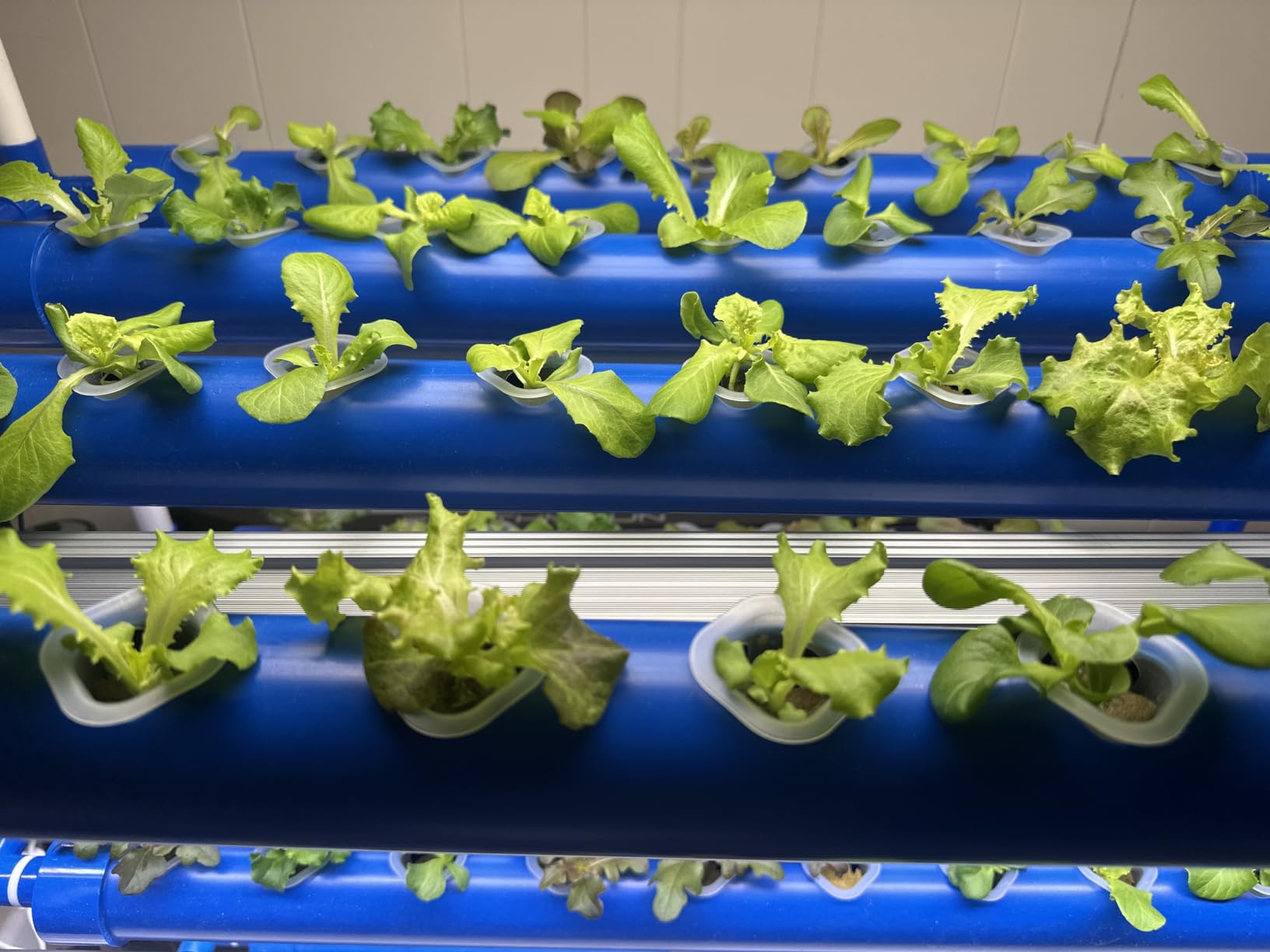 3-Tier 108 Sites Hydroponics Growing System Kit with Light Blocking customer photo 1