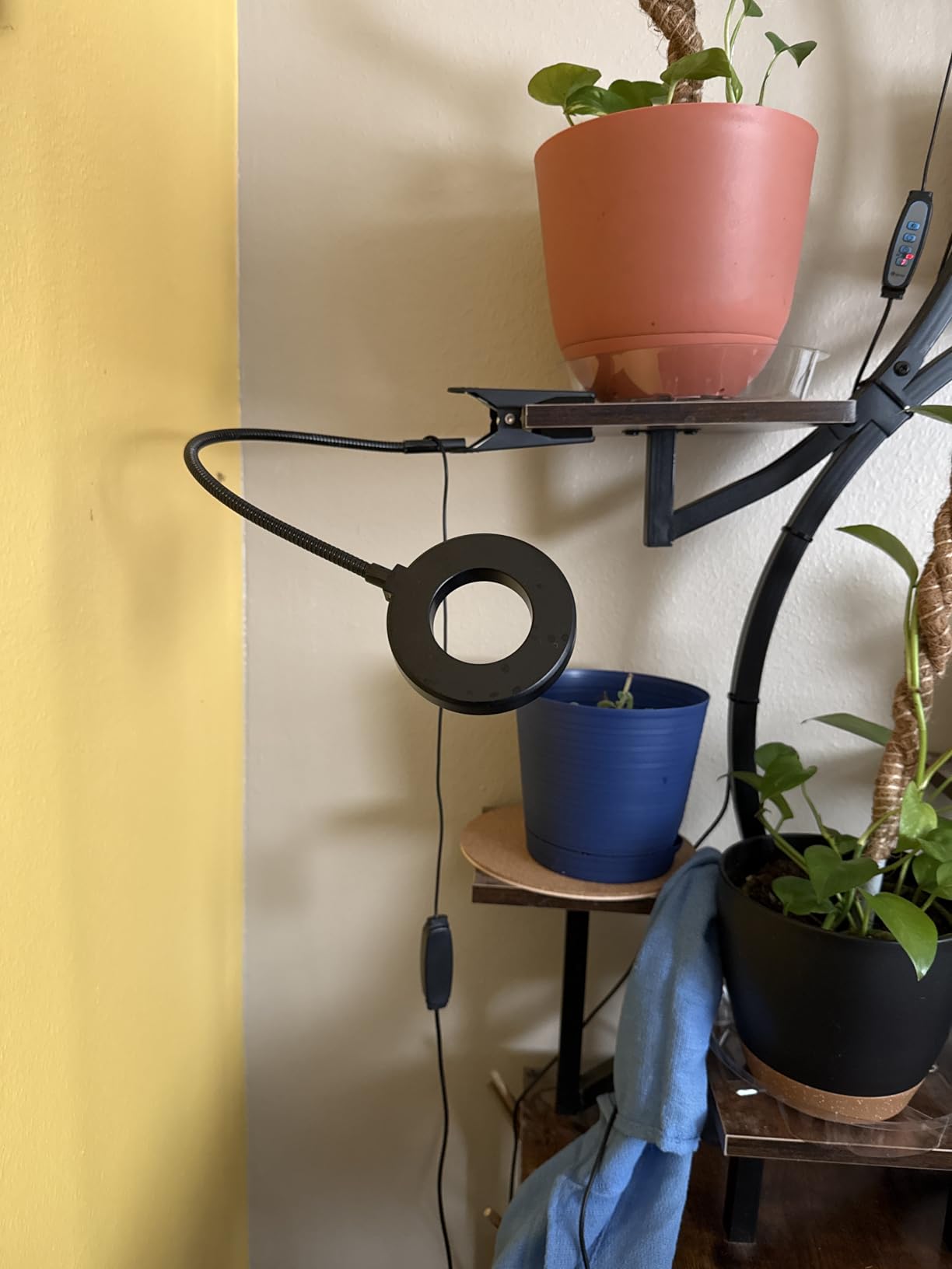 Grow Lights for Indoor Plants Growing, Full Spectrum LED, Clip on customer photo 1