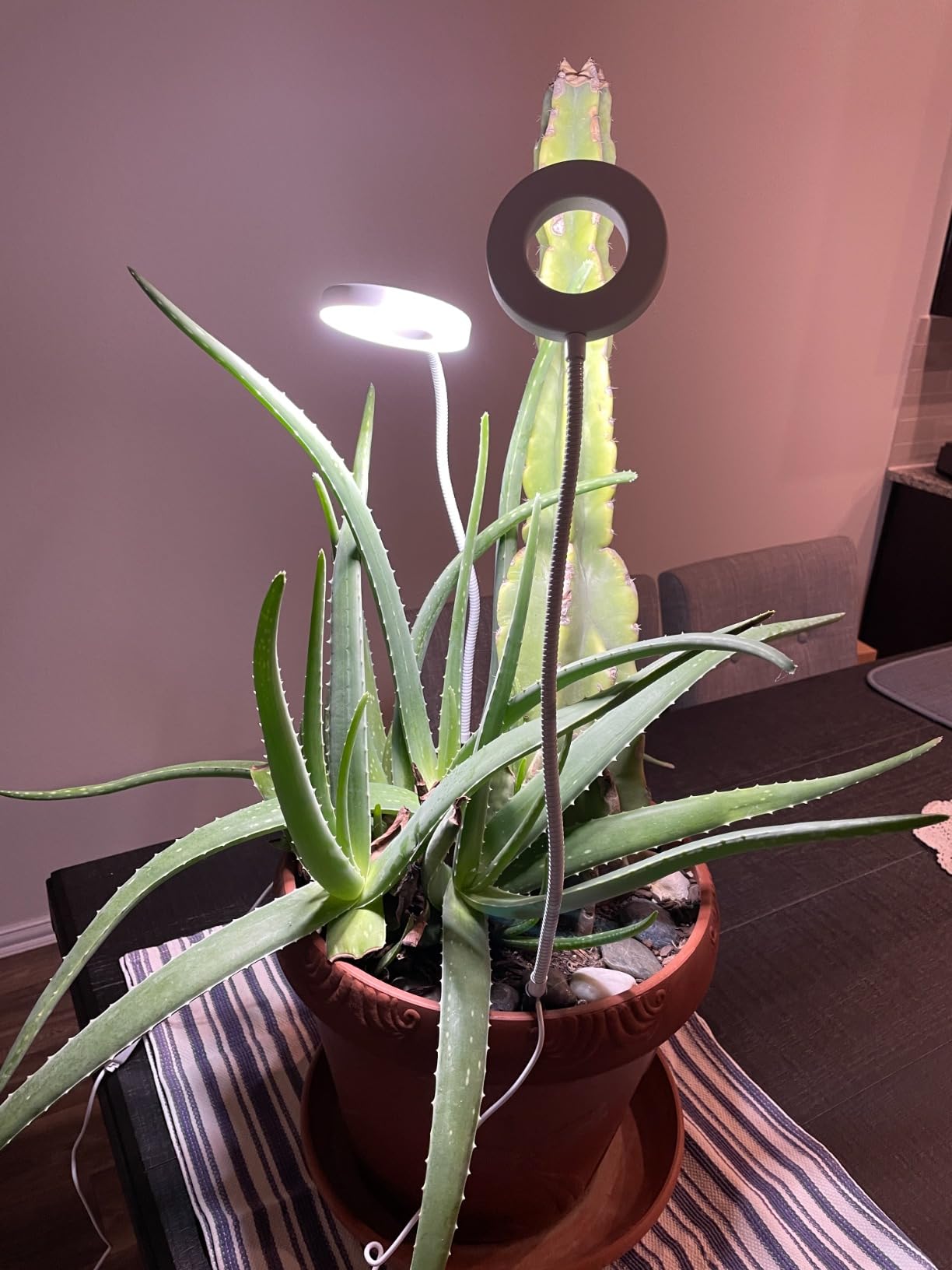 Grow Lights for Indoor Plants Growing, Full Spectrum LED, Clip on customer photo 2