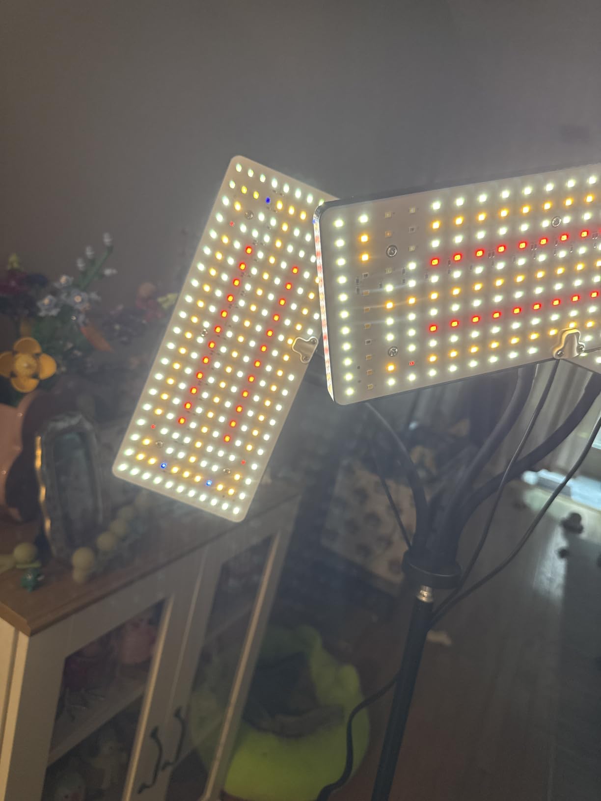 LBW Grow Light for Indoor Plants, 642 LEDs Grow Light with Stand customer photo 2