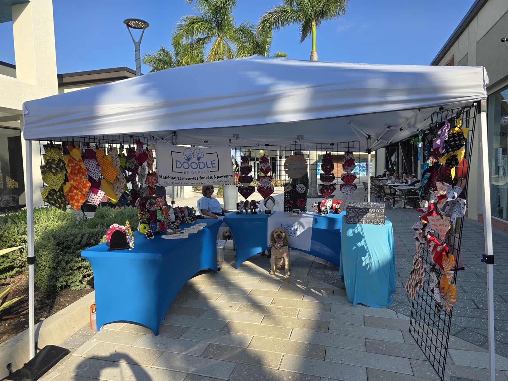 Nazhura 10' x 10' Pop Up Canopy Tent with Sand Weight Bag, Freestanding Sun Shelter for Picnic and Camping, One Person Setup and Height Adjustable (White) customer photo 1