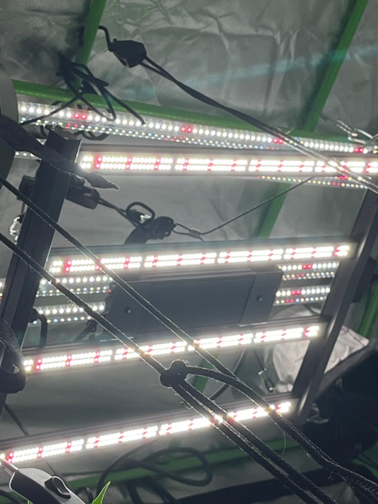 CANAGROW CG1200 LED Grow Light for Indoor Plants 2x2ft Coverage with High Yield Diodes, Sunlike Full Spectrum Dimmable Growing Lamps for Hydroponic Indoor Seeding Veg Bloom Greenhouse(Black) customer photo 1