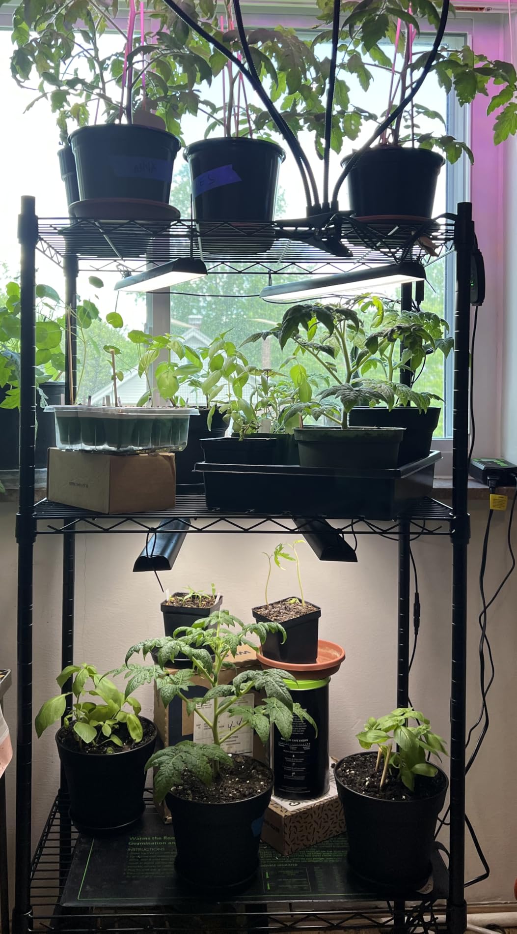 Wolezek 14in Grow Light Strip for Indoor Plants, Full Spectrum customer photo 1