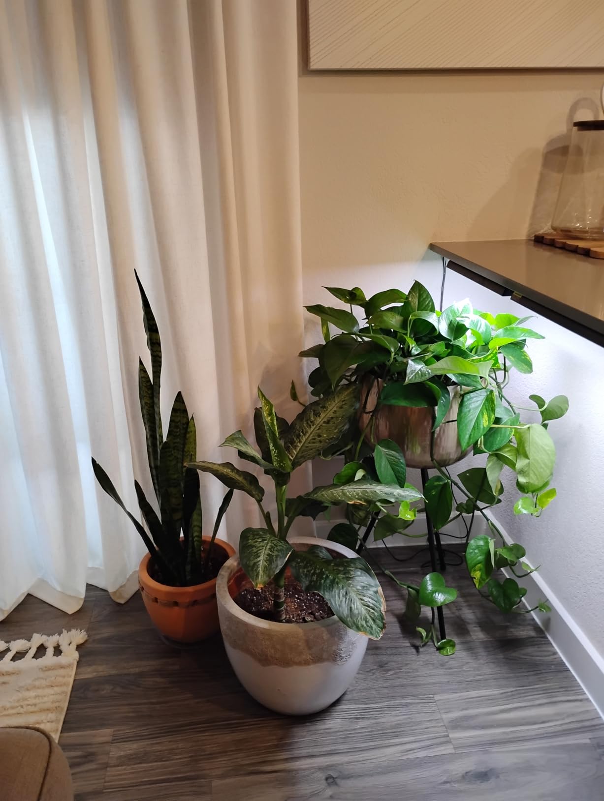 Wolezek 14in Grow Light Strip for Indoor Plants, Full Spectrum customer photo 2