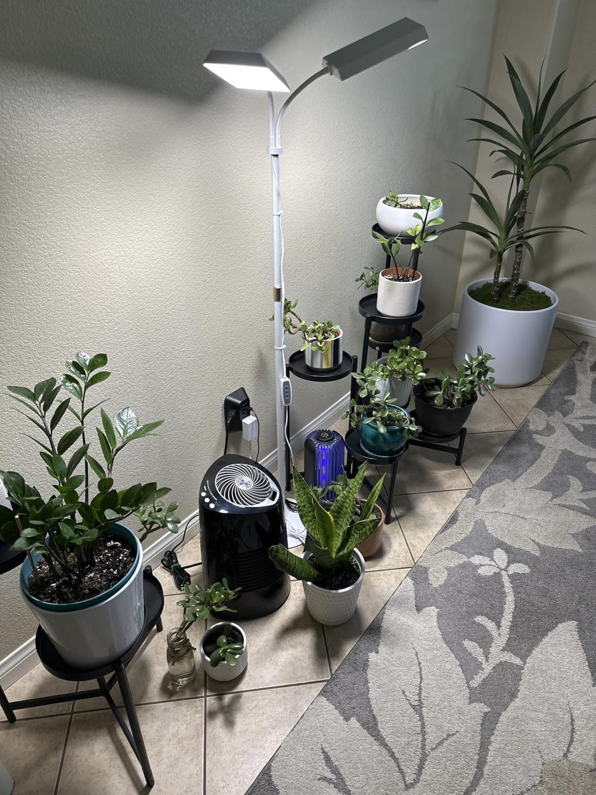 Wiaxulay Grow Lights for Indoor Plants,Full Spectrum Plant Light 68in Stand customer photo 1