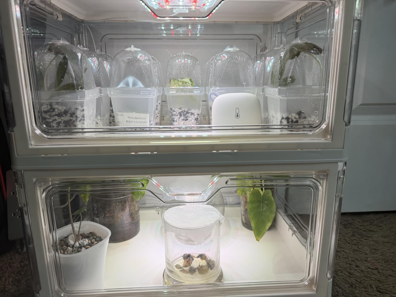 Under Shelf Grow Light, Auto Timer, Dimmable, Daylight White, 1-Pack customer photo 2
