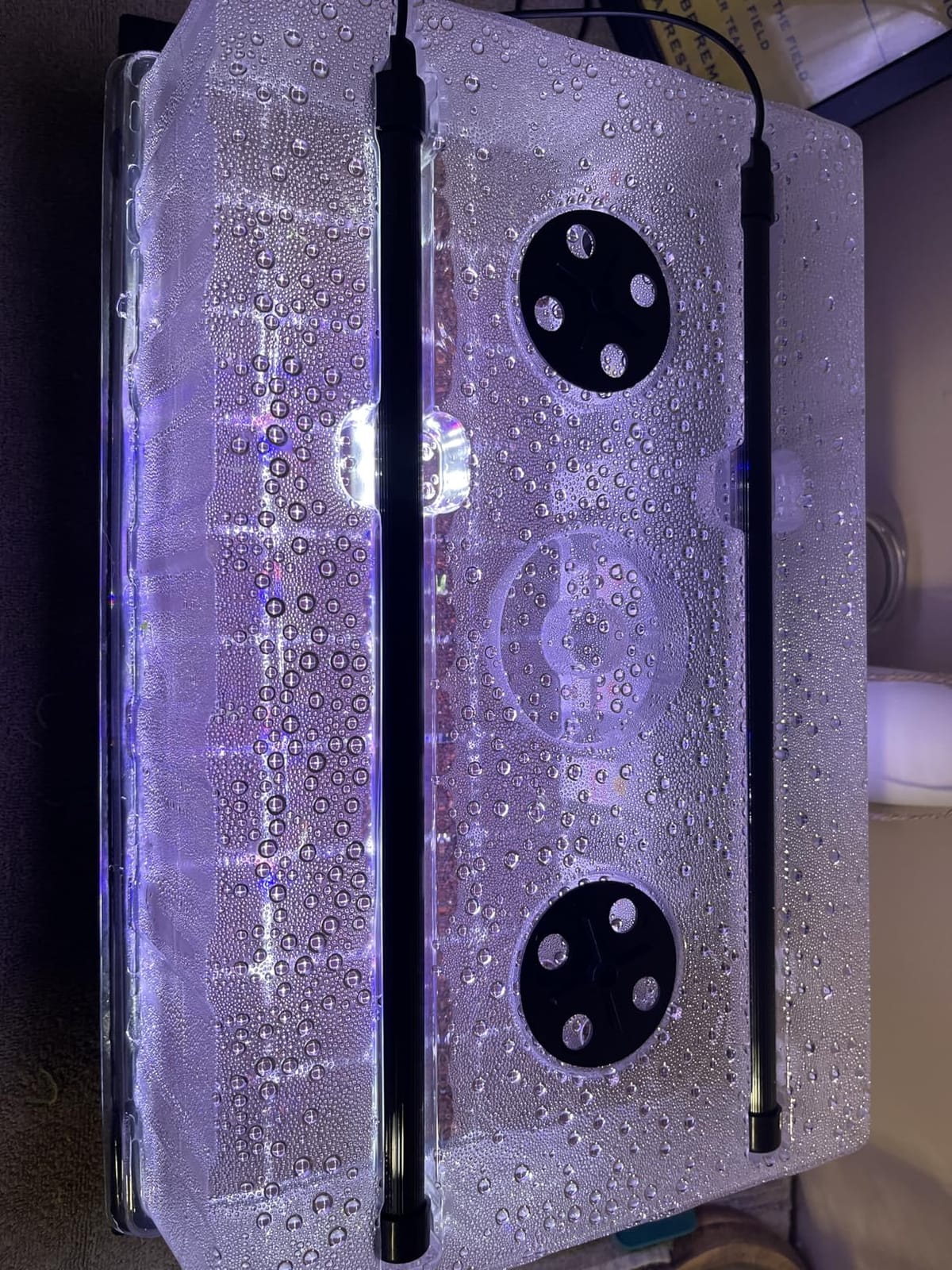 Patigrow 120-Cell Self-Watering Seed Starter Tray with Grow Light, Seed Starter Kit with 4.07” Humidity Dome, Indoor Seedling Starter Tray, Seed Starting Trays for Plant Germination, Seeds Growing customer photo 2