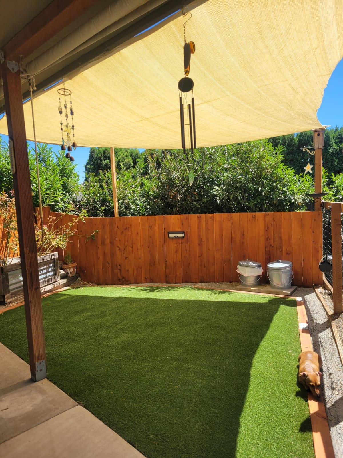 ShadeMart 12' x 20' Beige Rectangle Shade Sail for Outdoor Patio customer photo 1