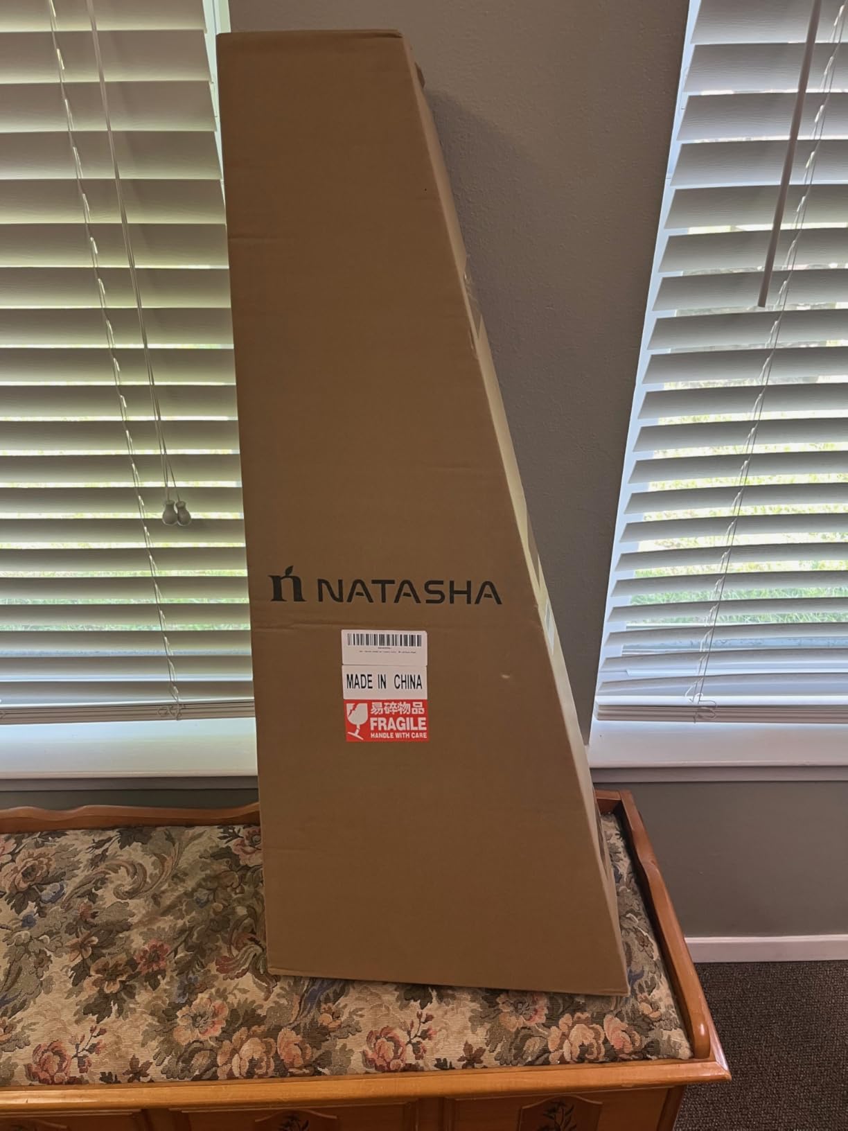 Natasha Carbon Fiber Acoustic Guitar, 38-inch Steel-string Guitarra,Durable 6-string Ultra-thin Guitar for Beginners (White) customer photo 1