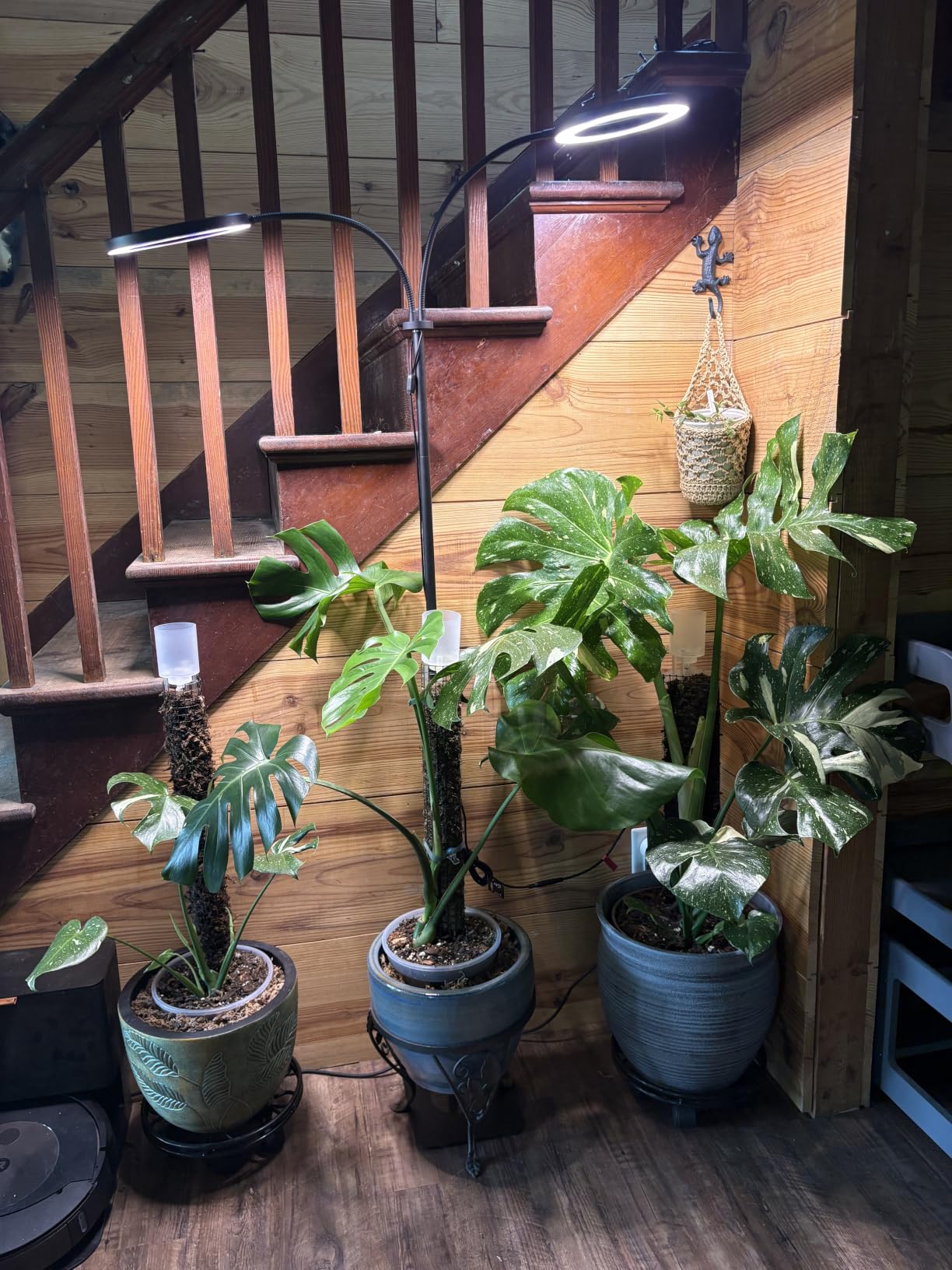 GLOWRIUM Tall Plant Grow Light for Indoor Plants, Full Spectrum Plant Light customer photo 2