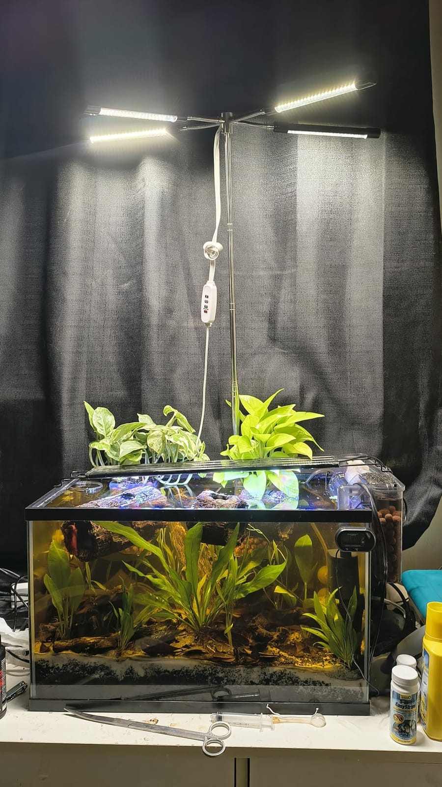 Grow Lights for Indoor Plants Full Spectrum,15-62 Inches Height Adjustable Dsektop and Standing Plant Growing Lights with Detachable Tripod Stand for Large and Small Plants, Auto On/Off Timer customer photo 1