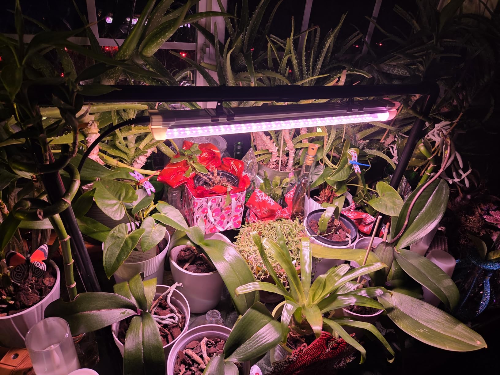 Bstrip 2ft Tabletop Grow Light Stand for Indoor Seed Starting customer photo 2