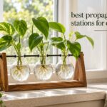 best propagation stations for cuttings