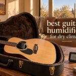 best guitar humidifiers for dry climates