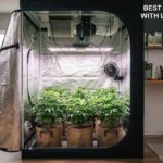 best grow tent kits with lights and fans