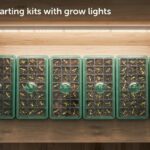 best seed starting kits with grow lights