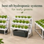 best nft hydroponic systems for leafy greens