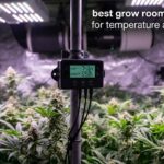 best grow room controllers for temperature and humidity