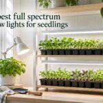 best full spectrum grow lights for seedlings