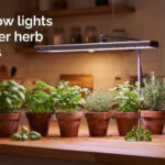 best grow lights for winter herb gardens