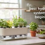 best hydroponic systems for beginners