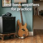 best bass amplifiers for practice