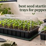 best seed starting trays for peppers
