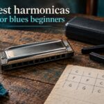 best harmonicas for blues beginners