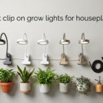 best clip on grow lights for houseplants