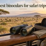 best binoculars for safari trips