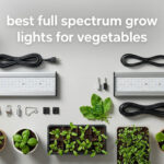 best full spectrum grow lights for vegetables