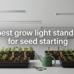 best grow light stands for seed starting