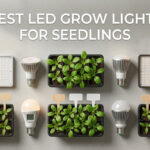 best led grow lights for seedlings
