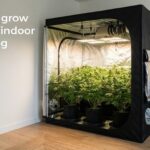 best 4x4 grow tents for indoor gardening